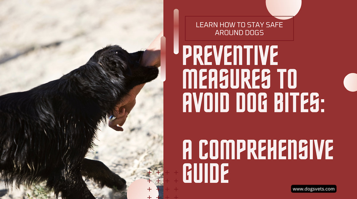 Preventive Measures to Avoid Dog Bites and Subsequent Severe Injuries in Roseville